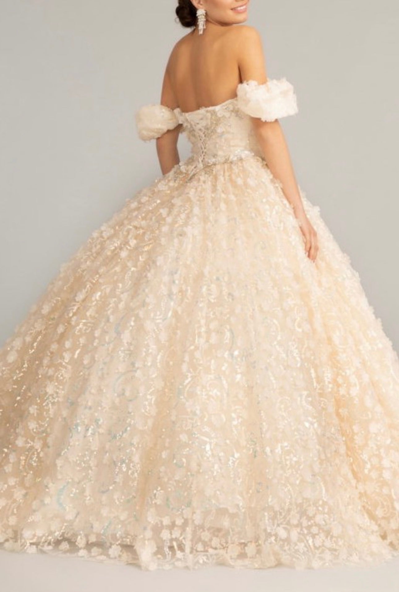 Off-the-Shoulder 3D Floral Lace Ball Gown