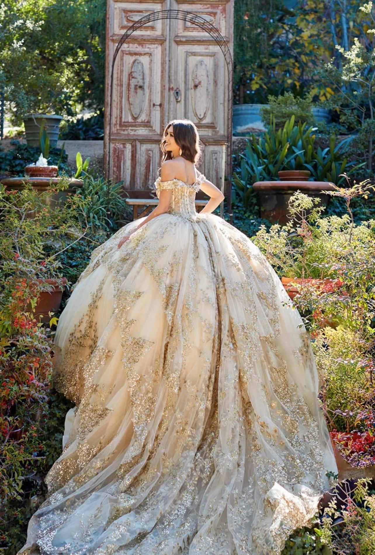 Appliqué Off Shoulder Corset Ball Gown