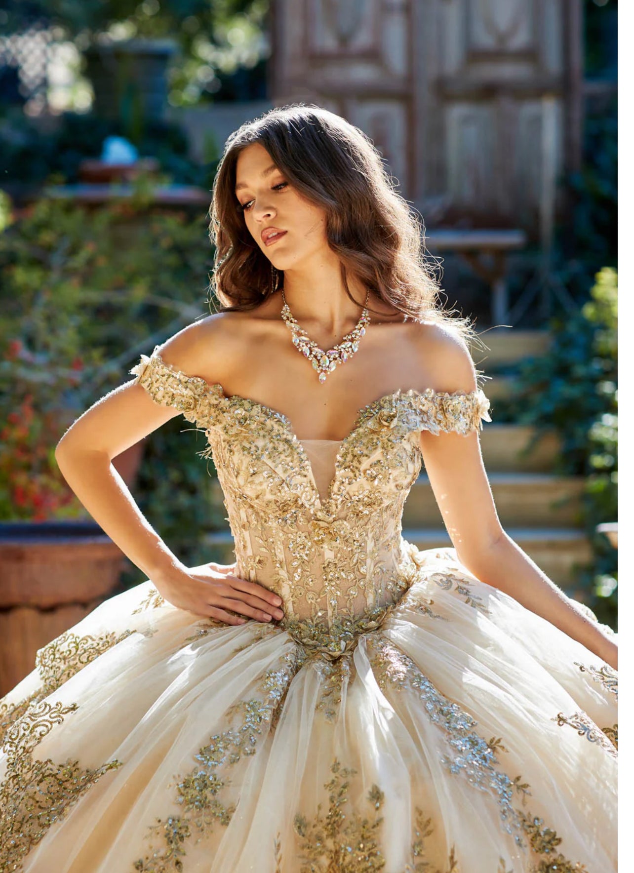 Appliqué Off Shoulder Corset Ball Gown