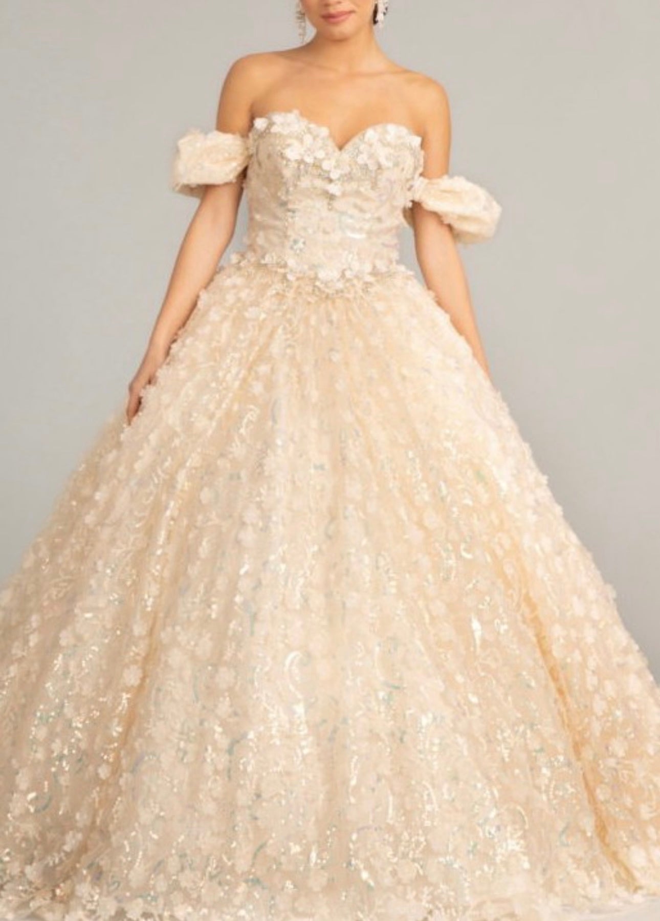 Off-the-Shoulder 3D Floral Lace Ball Gown