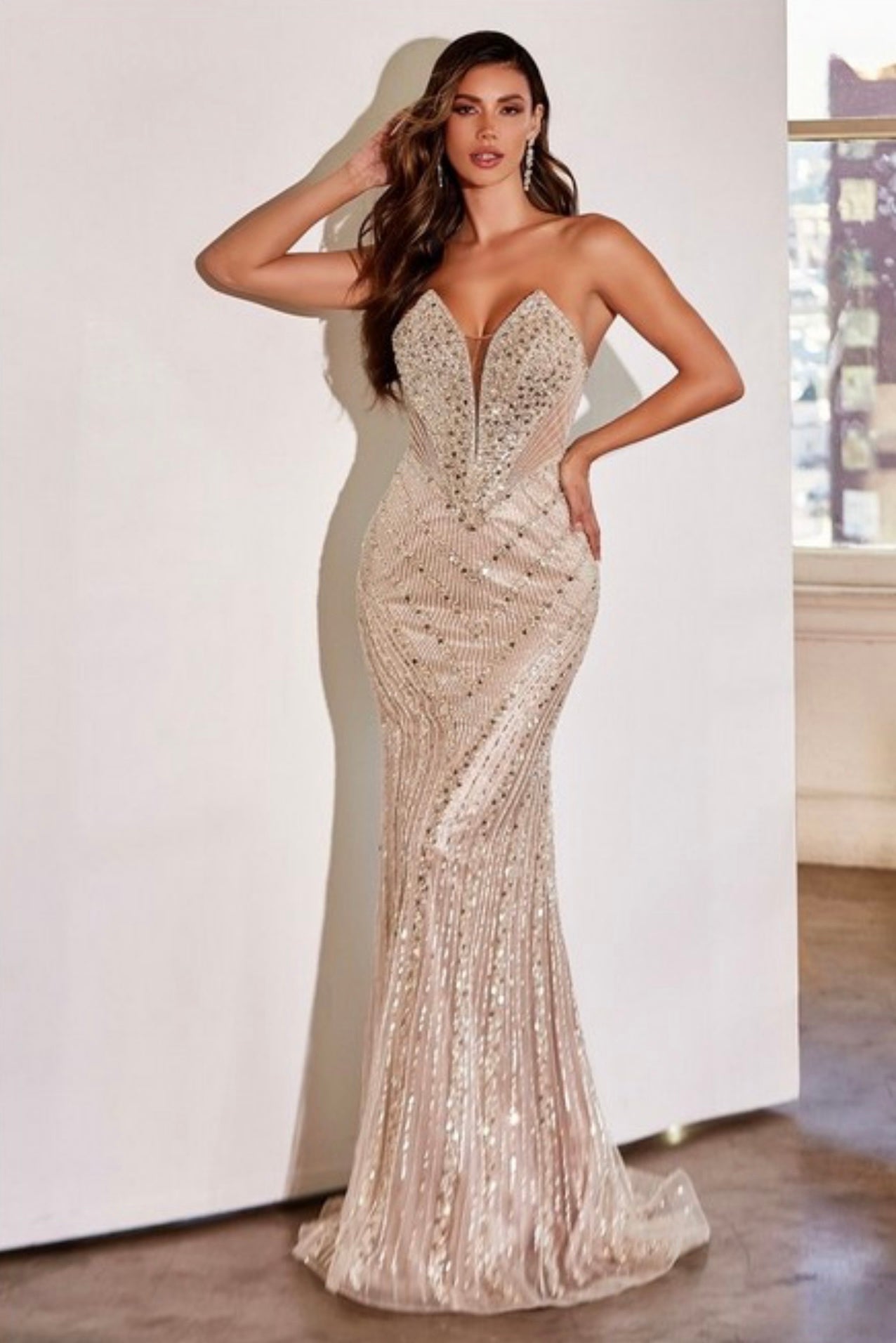 Embellished deep v-neckline mermaid gown