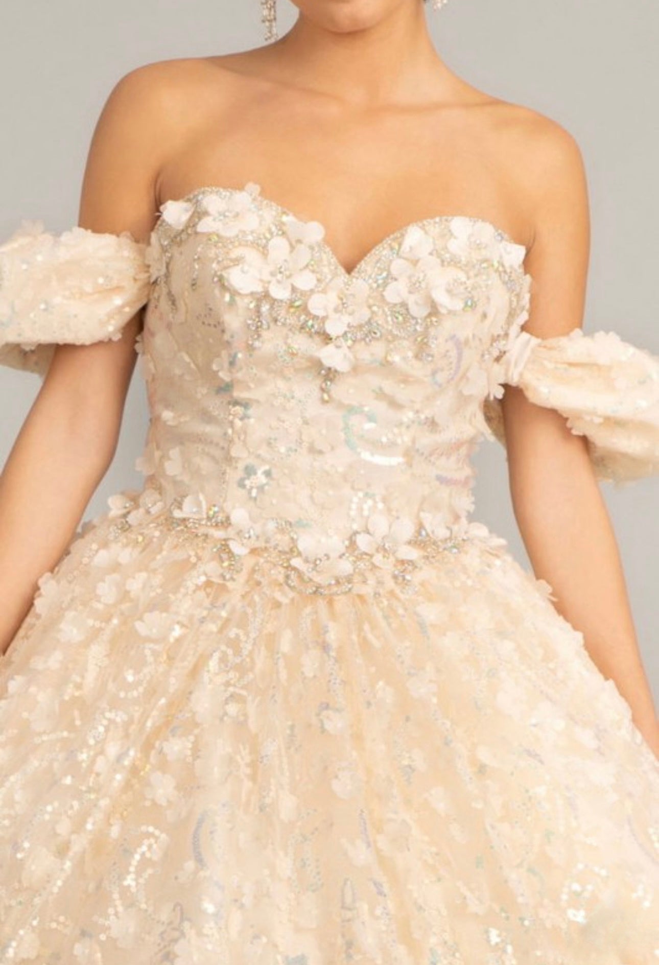 Off-the-Shoulder 3D Floral Lace Ball Gown