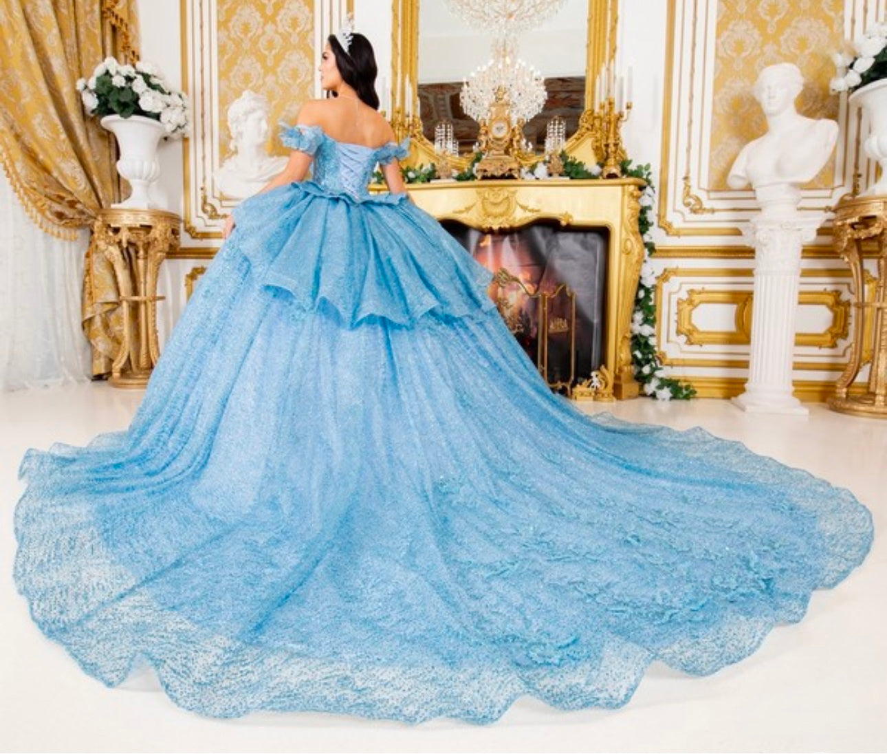 Butterfly Off-shoulder corset ball gown